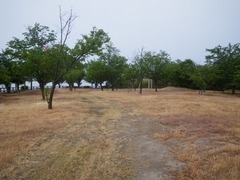 IMGP3015