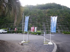 IMGP3120