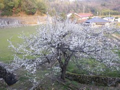 とりあえず峠越え