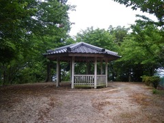 IMGP3019