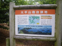 IMGP3018