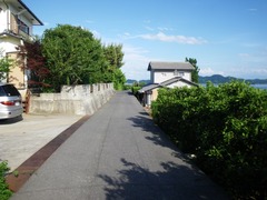 みかん畑
