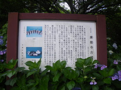 康徳寺古墳