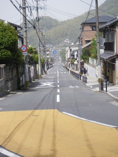 青春の道