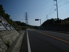 IMGP3115
