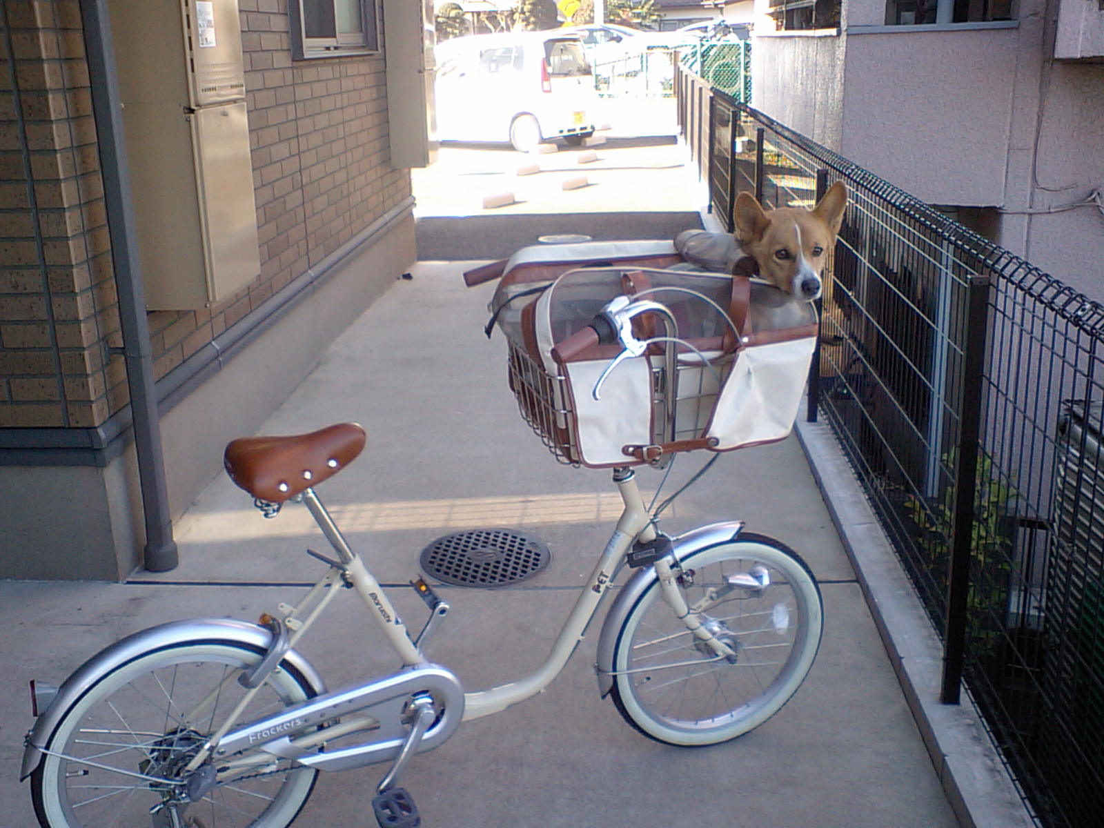 犬 を 乗せる 自転車