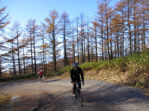 Img_5272_xlarge Img_5272_xlarge