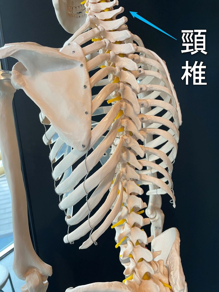 2021-05-09 16.06.26