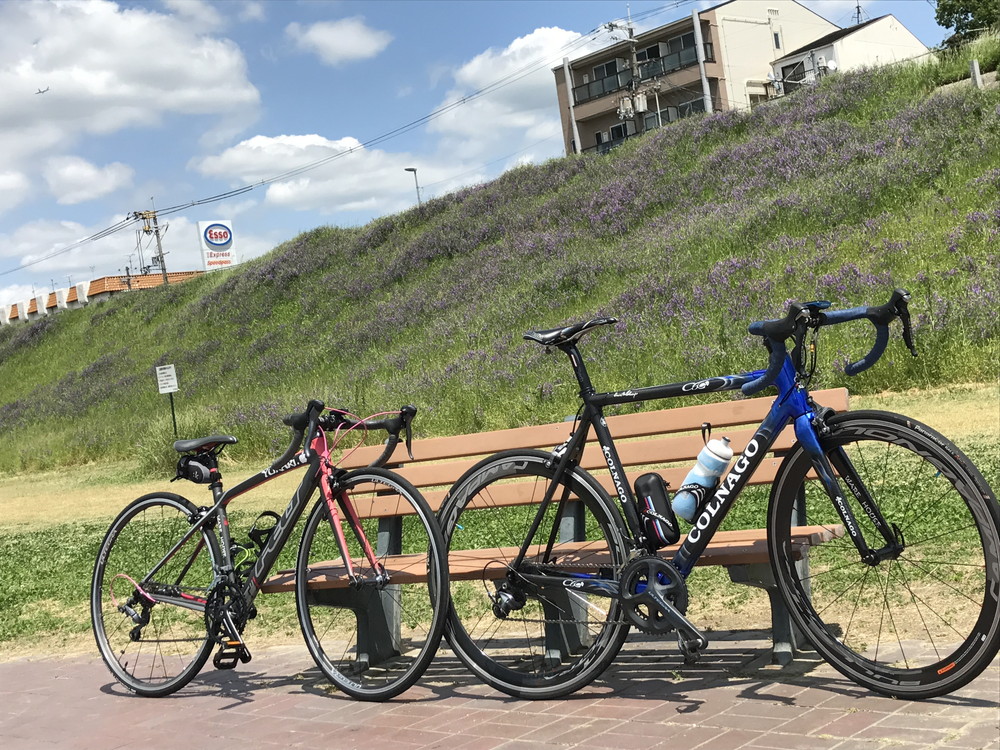 大阪府の大和川サイクリングロード01