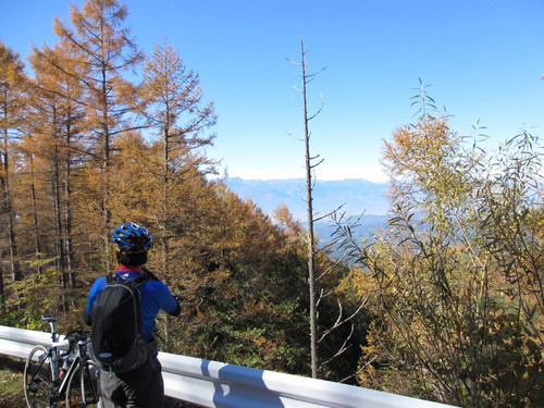 Img_5217_xlarge Img_5217_xlarge