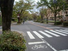 まちなか自転車空間コンクール, 自転車文化タウンづくりの会