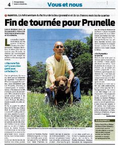 Prunelle