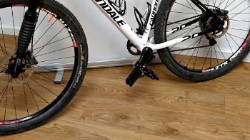 WX Vario