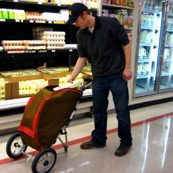 The Urban Shopping Cart
