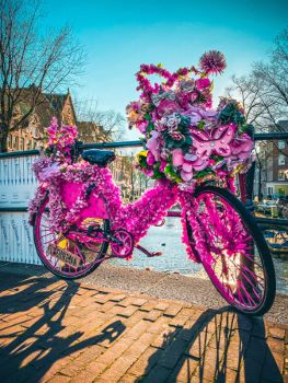 flowerbikeman