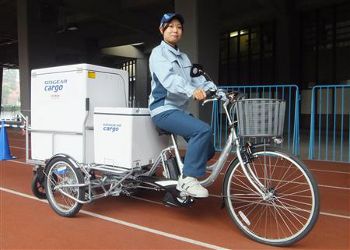 �ѥ�����������