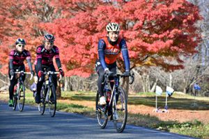 新城幸也