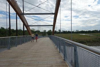 GREENWAY STIMULUS