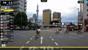 �С�����륳����