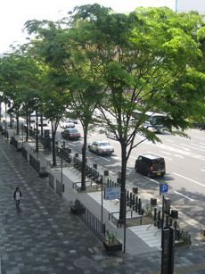 �ޤ��ʤ���ž�ֶ��֥��󥯡���, ��ž��ʸ��������Ť���β�