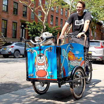 Cargo Bike for Dogs