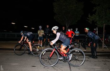 CENTRAL PARK RACCOONS