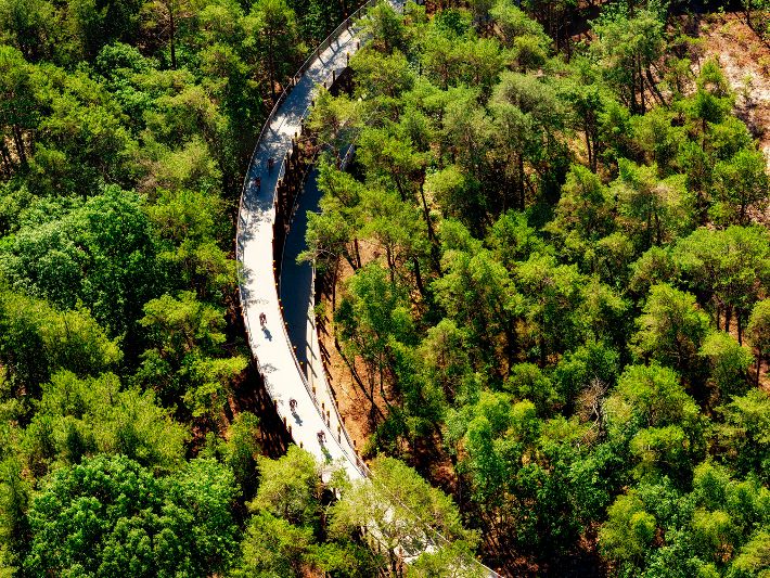 Cycling through the Trees