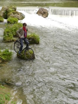 bicycle-culture