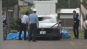 �ġ��롦�ɡ��̳�ƻ