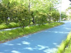 まちなか自転車空間コンクール, 自転車文化タウンづくりの会