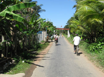 ��ž�֤γ���⤤