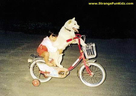 ������Ф�