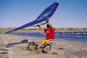 ������ä�