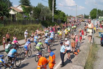 Photo by User:Seckelberry,licensed under the Creative Commons Attribution ShareAlike 3.0 Unported.