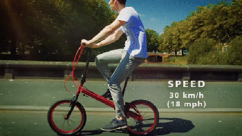 StepTwinR Bike