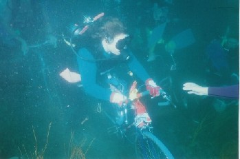 ����Х����졼��