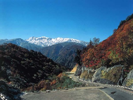 �򻳥����ѡ���ƻ