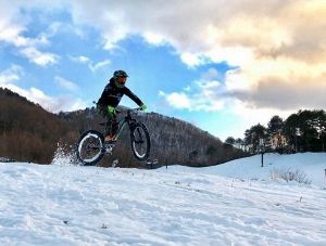 ����������