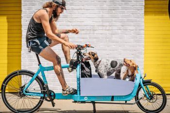 thw59k7wz1s8emq8o1_1280