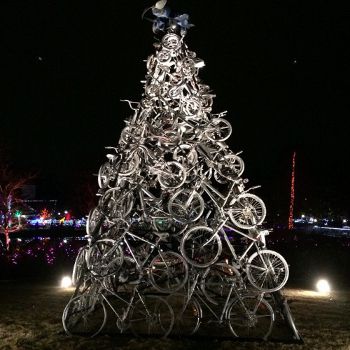 Bike tree
