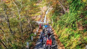 �����붭�饤��