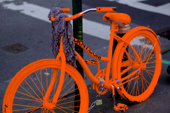 photo by Matt Carman