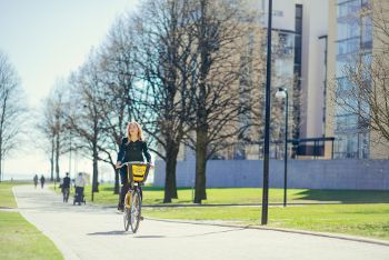 City Bikes