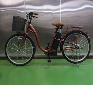 ��ư�������ȼ�ž��