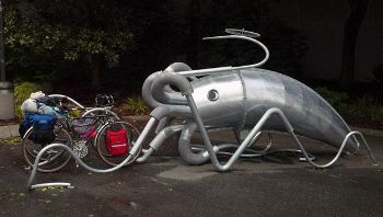 Parking Squid, www.susanrobb.com