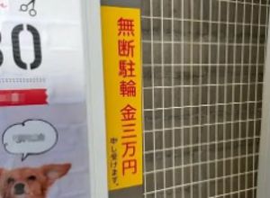 ̵������