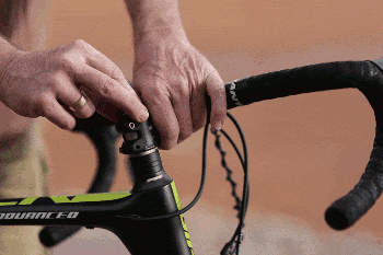 Multi-tool