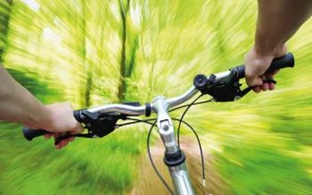 Sport and memory