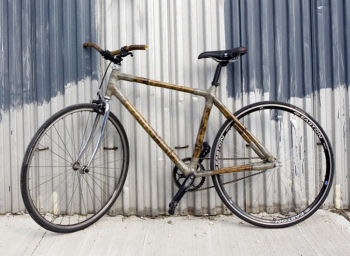 Bamboo Bike