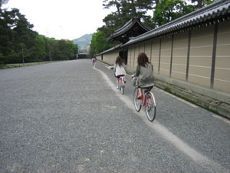 まちなか自転車空間コンクール, 自転車文化タウンづくりの会
